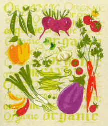 Vegetable species comparing leaves and morphology details celebrating organic local produce in season