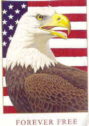 raptors of north america na birds of prey bald eagle t-shirt tshirt tee shirt