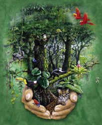 tropical first growth forest woodland scene forest ecology habitat t-shirt