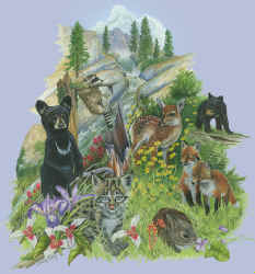 mountain meadow habitat, Natural History, ecology north american northern habitat mammals t-shirt