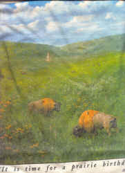 white tee shirt with creatures around and in prairie scene