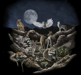 Natural History, north american western nightlife habitat mammals t-shirt