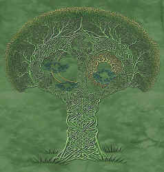 celtic civilization anthropology t-shirt tshirt tee shirt