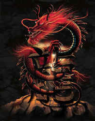 chinese oriental dragon civilization anthropology t-shirt tshirt tee shirt