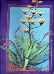 Agave and Ocotillo on a canvas book bag, beach bag or shopping bag