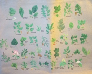 Trees species leaves, Ultimate Leaf Canvas Bag