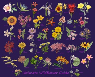 Wildflowers on a canvas book bag, beach bag or shopping bag