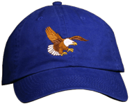 Bald Eagle landing raptor Bird of prey Bird Hat ball hat baseball embroidered cap adjustible trucker