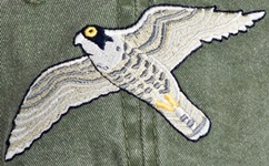 Peregrin Falcon   raptor Bird of prey Bird Hat ball hat baseball embroidered cap adjustible trucker