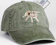 Blond Tarantula Spider Arachnid arachnida invertebrate Hat ball hat baseball embroidered cap adjustible trucker