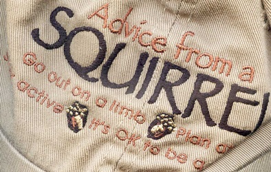Advice From A Squirrel Hat ball hat embroidered cap adjustible trucker