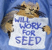 Will Work for Seed squirrel Hat ball hat embroidered cap adjustible trucker