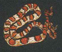 Corn Snake  Reptile Hat ball hat baseball embroidered cap adjustible trucker