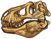 T rex skull Dino Embroidered Cap