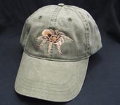 tarantula Hat Embroidered Cap