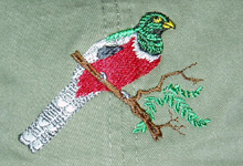 Elegant Trogon  tropocal Bird Hat ball hat baseball embroidered cap adjustible trucker
