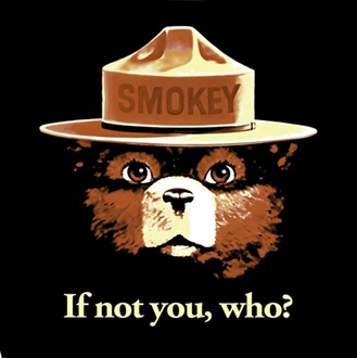 smokey the bear forest fire prevention bandana bandanna