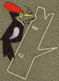 Woodpeckers Bird Tie Necktie