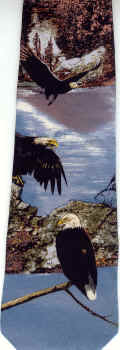 Eagle Scene Tie