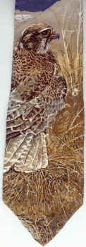Hawk Scene Tie