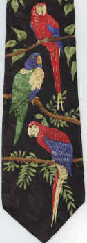 Maccaw Parrot Tie Necktie