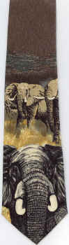 boys length necktie youth ties