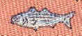 Freshwater Fish Species Tie necktie silk stripped bass