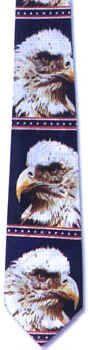 American Flag Tie necktie