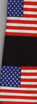 American Flag Tie necktie