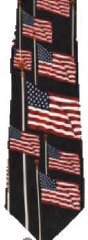 American Flag Tie necktie