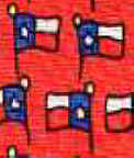 American Flag Texas Tie necktie
