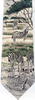 Bands of Zebras Drinking at a Waterhole Tie