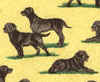 Black and Chocolate Labs Repeat Tie