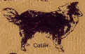 Dog Breeds Tie