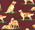 Golden Retriever Repeat Tie