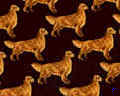 Golden Retriever Repeat Tie