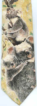 koala Australian wildlife exotic zoo animals mammal Tie necktie