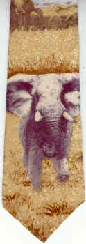 Elephant Tie