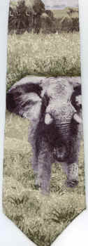 Elephant Tie