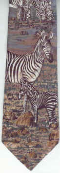 Bands of Zebras Drinking at a Waterhole Tie
