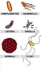  foodborne pathogens Infectious Awareables microbe bacteria virus molecule cell disease microscope tie Necktie