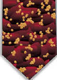 Staphloccus aureus Infectious Awareables microbe bacteria virus molecule cell disease microscope tie Necktie