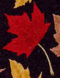 Maple Leaf Repeat Tie