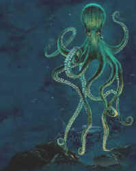 aquatic marine invertebrate species octopus on a t-shirt