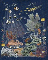 aquatic marine invertebrate species coral reef fish on a t-shirt