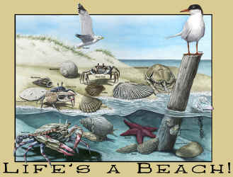 Beach habitat with Shorebirds and invertebrates on a canvas book bag, beach bag or shopping bag