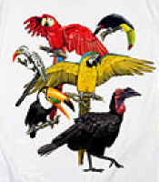 Tropical exotic birds on a canvas book bag, beach bag or shopping bag