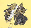 kitten and cat on a canvas book bag, beach bag or shopping bag
