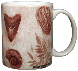 Fossils Ceramic Mug