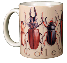 oleoptera beetles Ceramic Mug